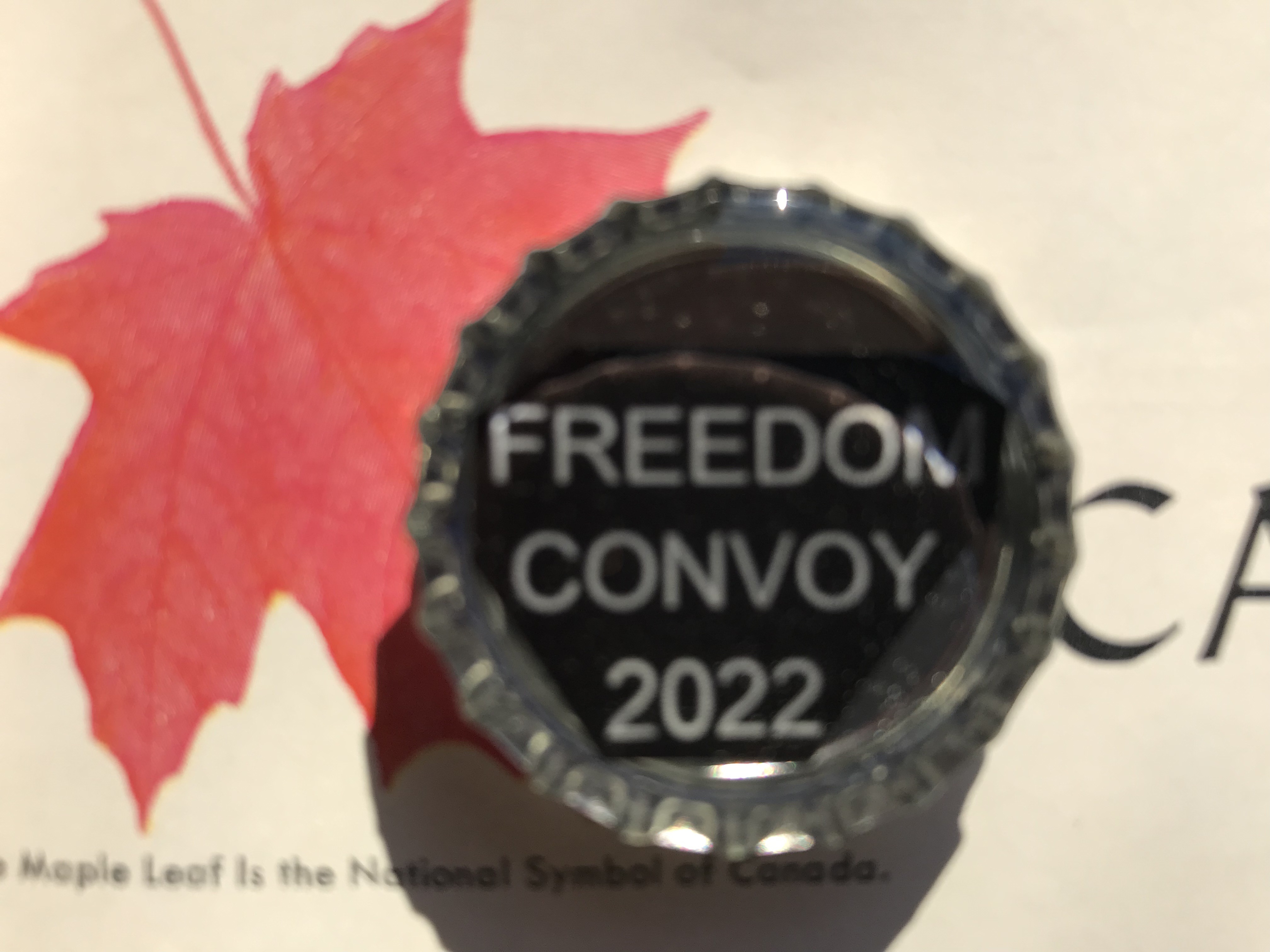 4C0A8BB6-D84F-492C-8617-8ABC28EE1DB3