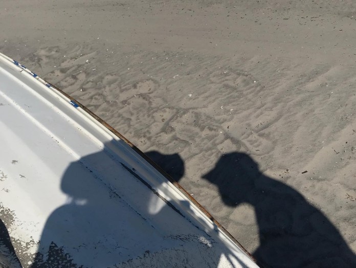 2C6CEFE8-D229-4545-A365-6455EF40D9C8